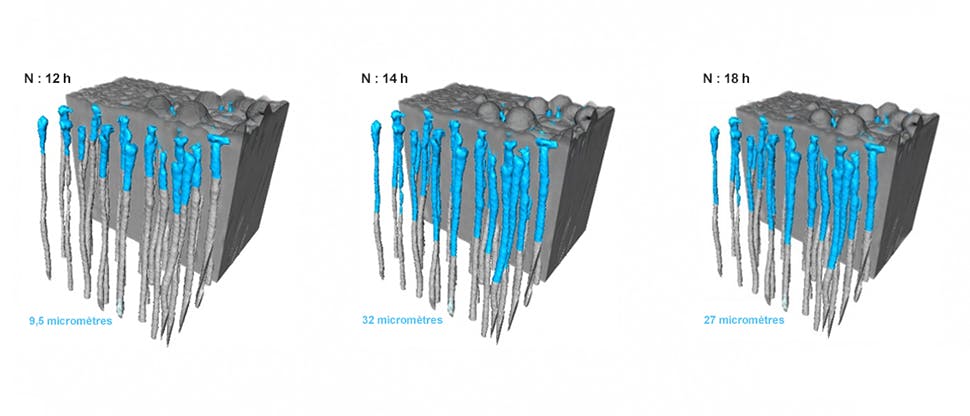 Profondeur d’une obturation moyenne dans les spécimens de dentine traités avec SENSODYNE Répare et Protège