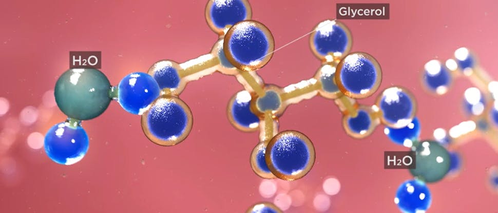 Image de la liaison des molécules à glycérol