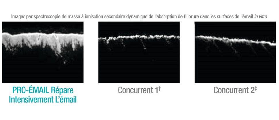 SEM de l’absorption de fluorure