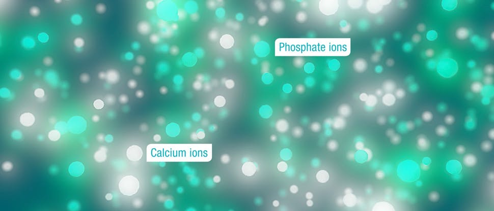 Phosphate, calcium et fluorure