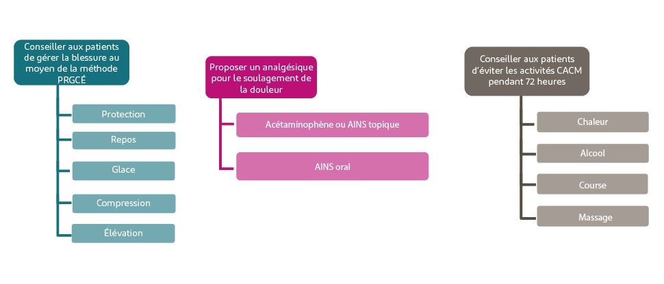 Résumé des lignes directrices sur le traitement des entorses et des élongations