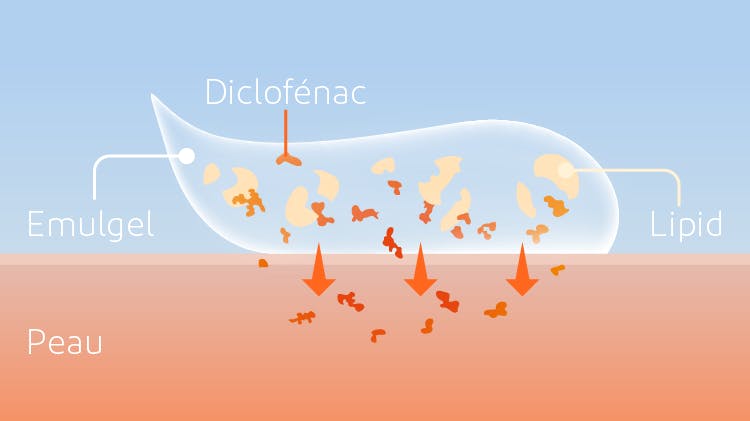 Voltaren est une émulsion gel (un emulgel). La préparation contient l’émulsion d’une phase huileuse et d’une phase aqueuse gélifiée.