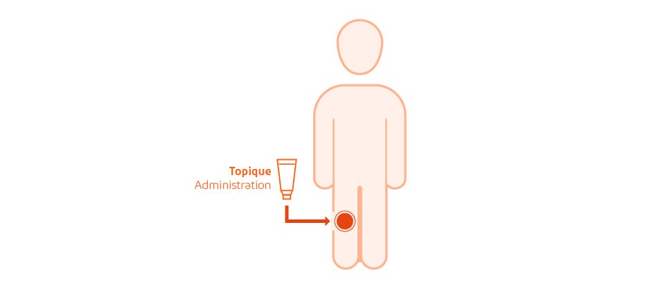 Administration topique à faible absorption systémique