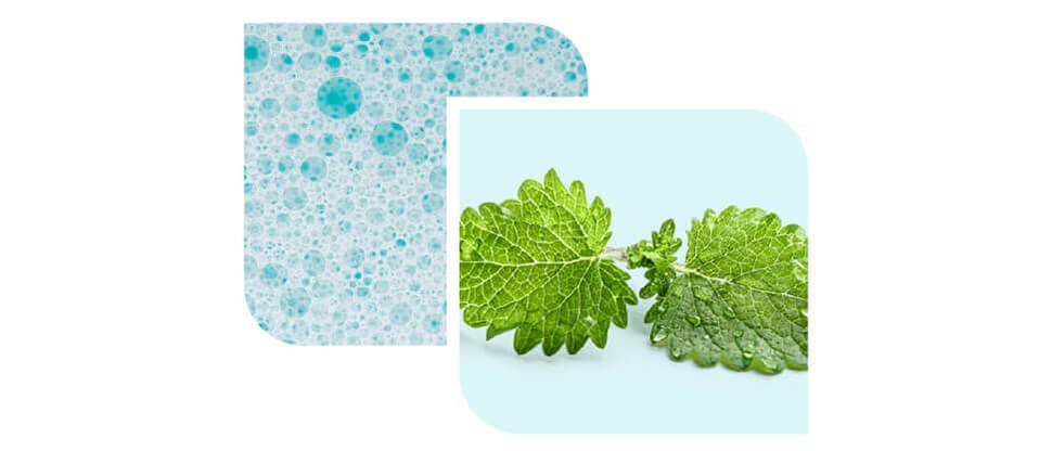 Images de bulles représentant l'action moussante et de feuilles de menthe représentant l’arôme – composants du dentifrice Proémail Défense active