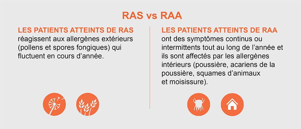 Rhinite allergique saisonnière et pérenne