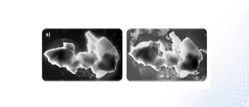 Image de particules de NOVAMIN