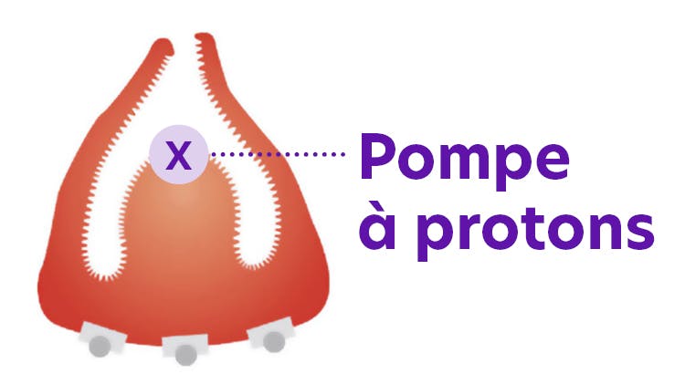 Fondé sur la science