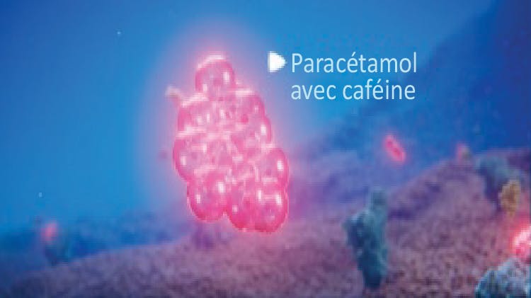 Structure chimique du paracétamol + caféine