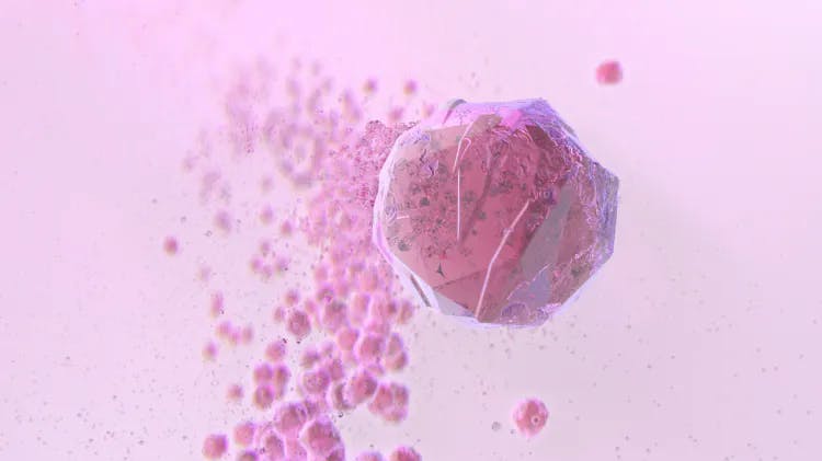 Visuel de la molécule de bicarbonate de sodium