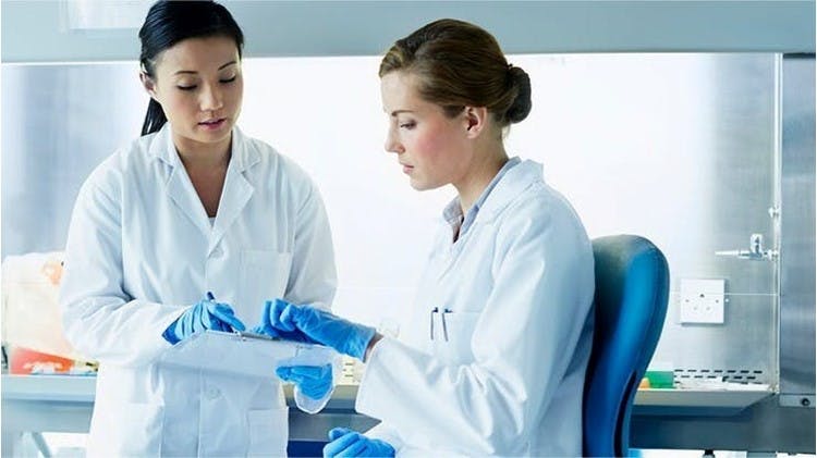 Femmes dans un laboratoire