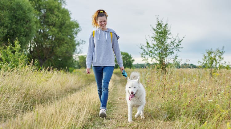 Femme avec un chien dans un pré