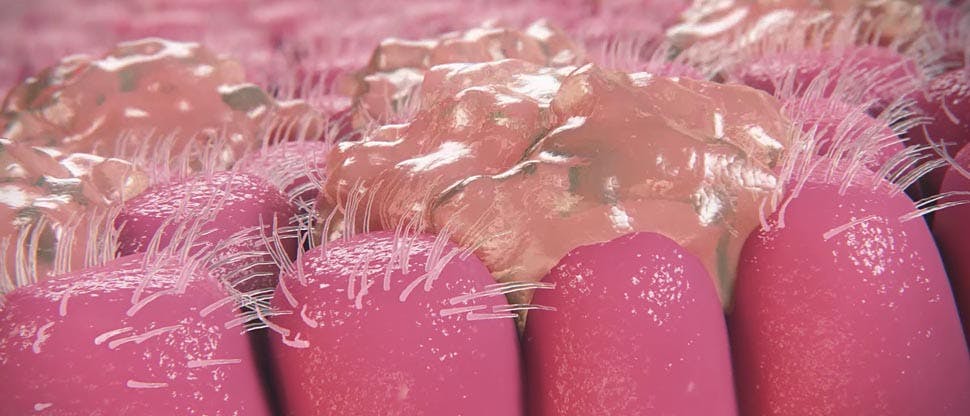 Image graphique agrandie du mucus produit à l'intérieur du nez