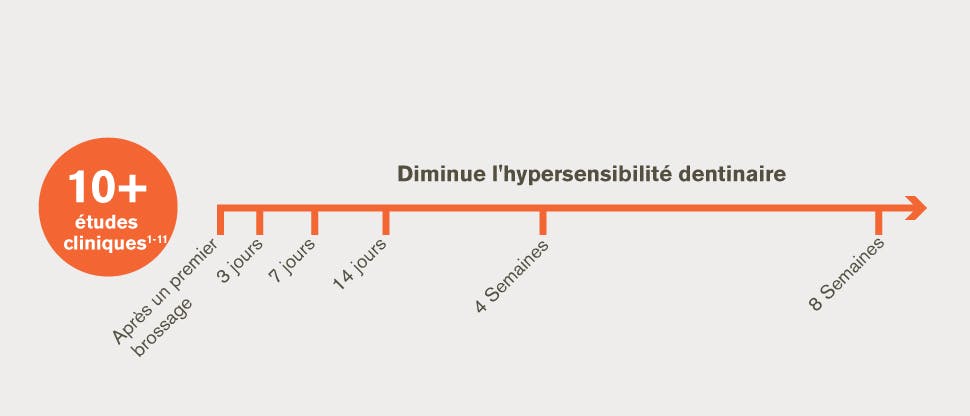 Plus de 10 études : réduction de l’hypersensibilité dentinaire