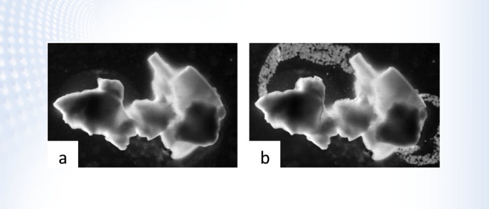 La NovaMin s’active immédiatement au contact de la salive 