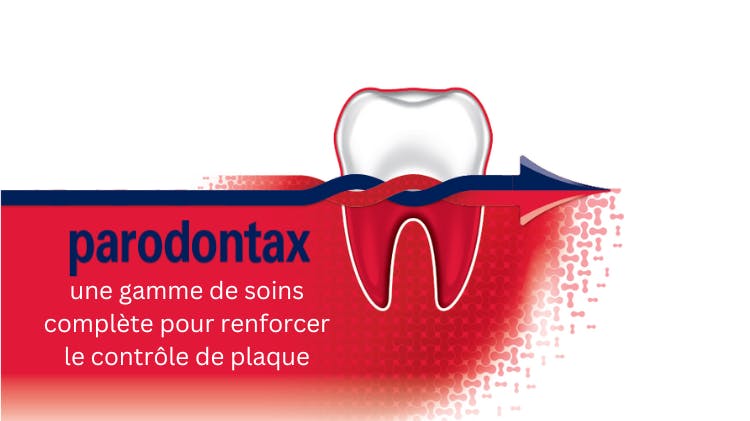 Illustration d'une dent avec le texte "Avec 67% de  bicarbonate de sodium , le dentifrice parodontax permet  d'améliorer l'efficacité du brossage de vos patients" , "parodontax une gamme de soin complète pour  renforcer le controle de plaque." et une image des  produits de la gamme parodontax