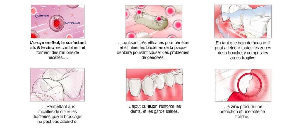 Le nouveau bain de bouche quotidien parodontax est une formulation unique