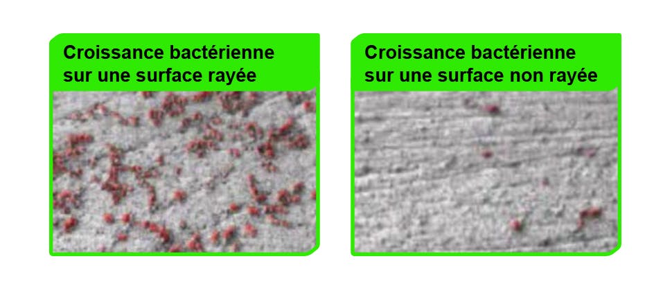 Images montrant une croissance bactérienne plus élevée sur la surface rayée de la prothèse que sur la surface non rayée.