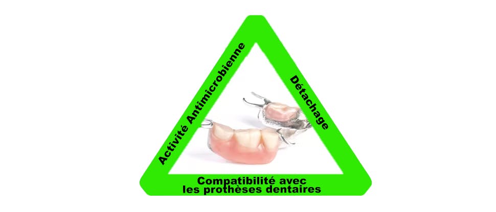 Action des comprimés nettoyants pour prothèses dentaires Polident: activité antimicrobienne, élimination des taches et compatibilité avec les prothèses dentaires