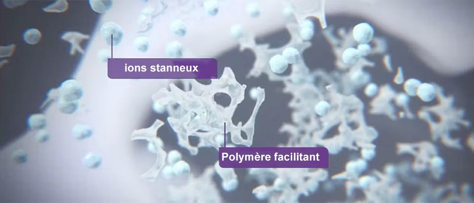 Ions stanneux et polymère facilitateur 