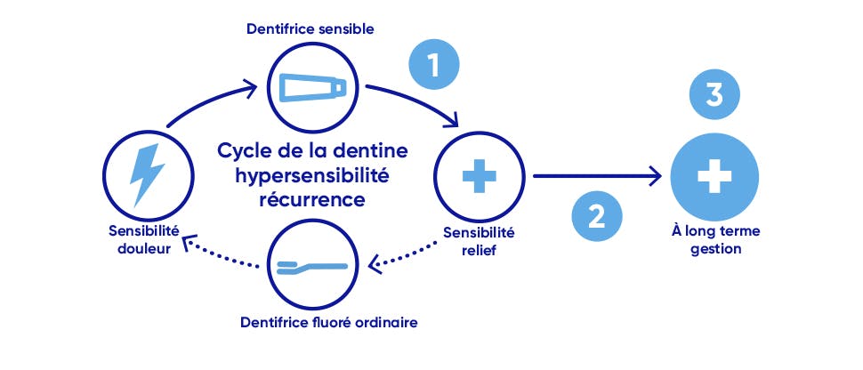 Cycle de récurrence de l'hypersensibilité dentinaire et objectifs de prise en charge
