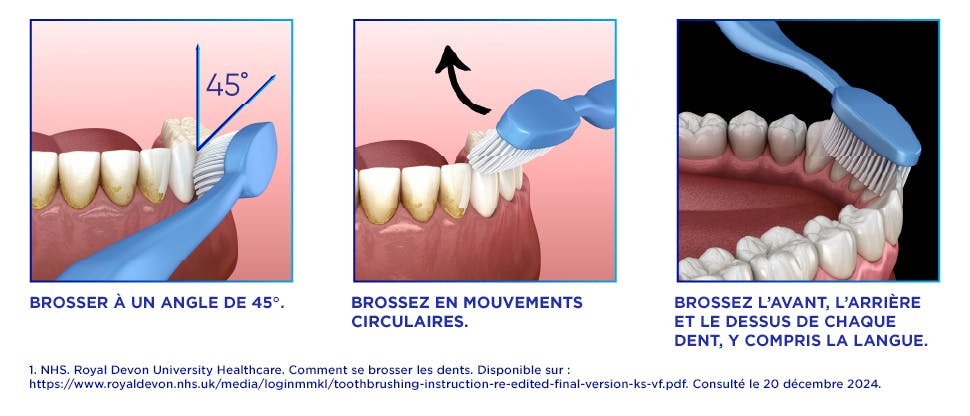 Icône de bain de bouche, dentifrice et brosse à dents