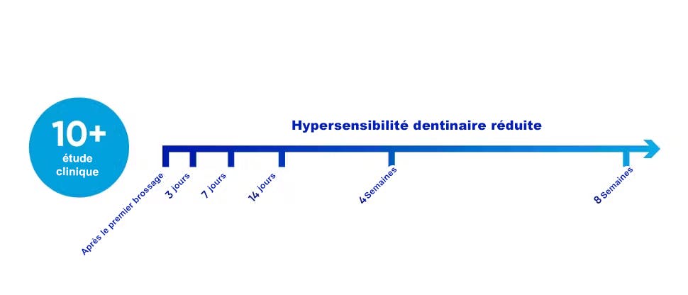 Chronologie sur 8 semaines de la réduction de l'hypersensibilité dentinaire lors de l'utilisation du dentifrice Sensodyne Rapide Action