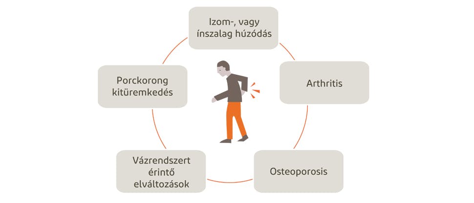 A hátfájdalom lehetséges okait bemutató ábra