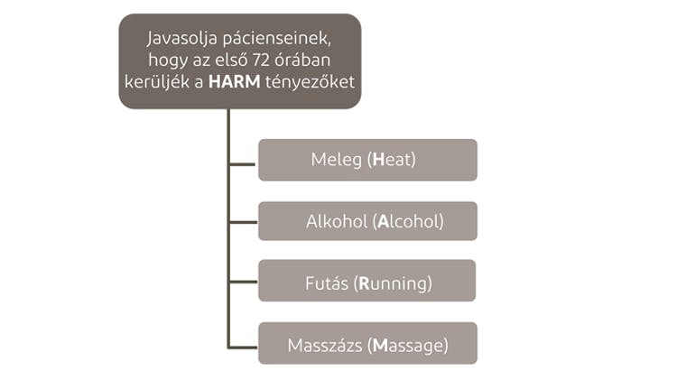 HARM protokoll