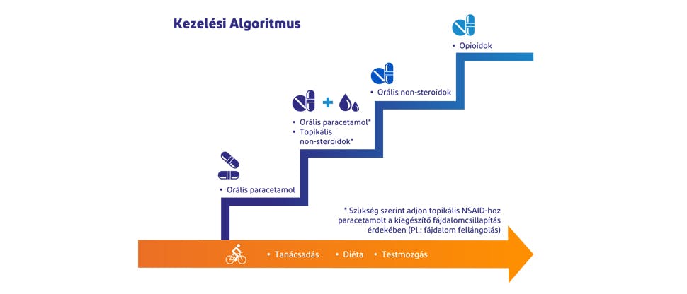 Osteoarthritisz kezelési algoritmus14-16