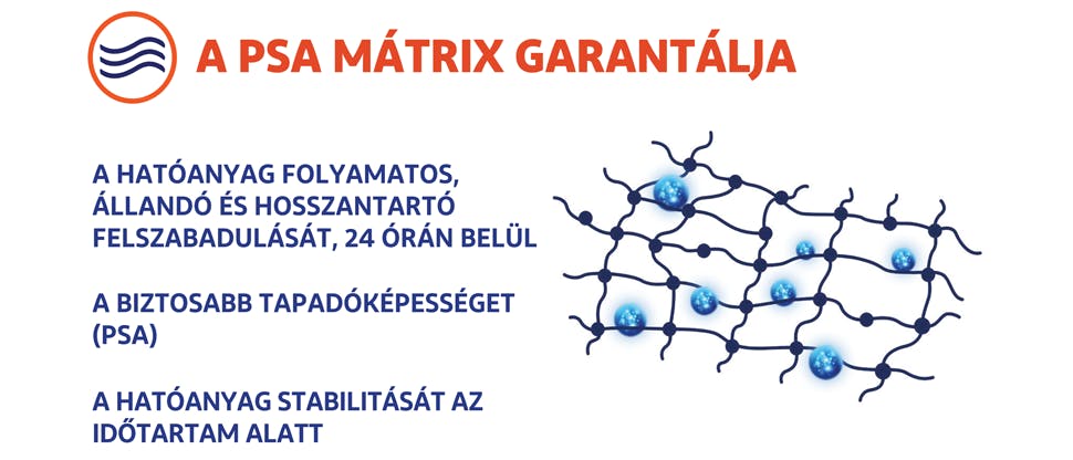 Illusztráció a PSA-mátrixról