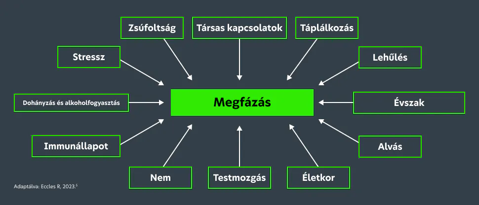 Infografika, amely a megfázás előfordulását és súlyosságát befolyásoló tényezőket mutatja be