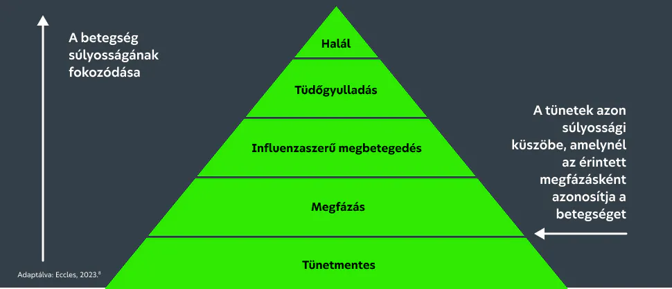 Infografika, amely a megfázással összefüggő kimenetelek előfordulásának és súlyosságának változását szemlélteti a tünetmentes fertőzéstől a megfázáson és influenzaszerű megbetegedésen át egészen a tüdőgyulladásig és a halálig