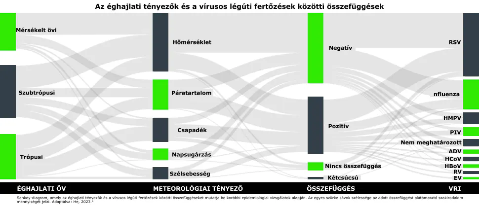 Sankey-diagram, amely bemutatja az éghajlati tényezők, például a hőmérséklet és a páratartalom, valamint a vírusos légúti fertőzések – például az influenza és az RSV (légúti syncytialis vírus) – közötti összefüggéseket
