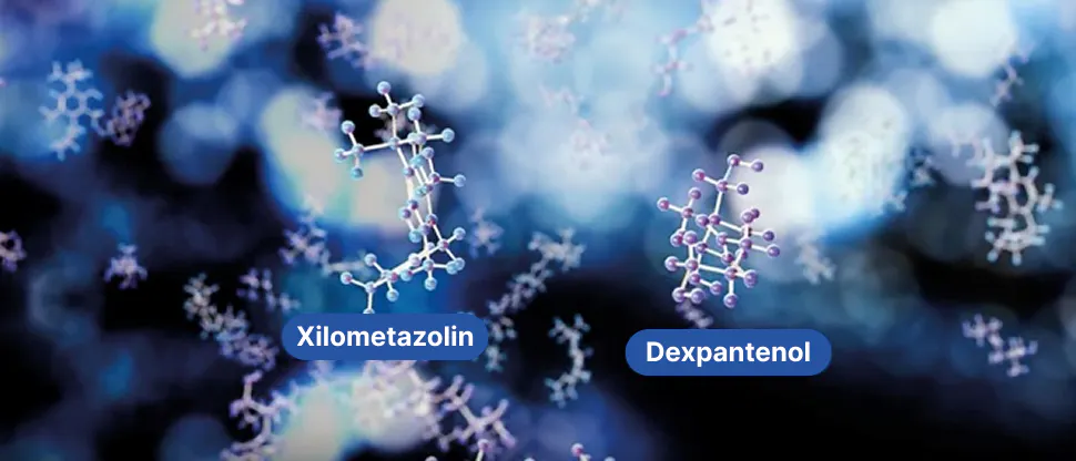 Xilometazolin és dexpantenol molekulák modellje háromdimenziós ábrázolásban