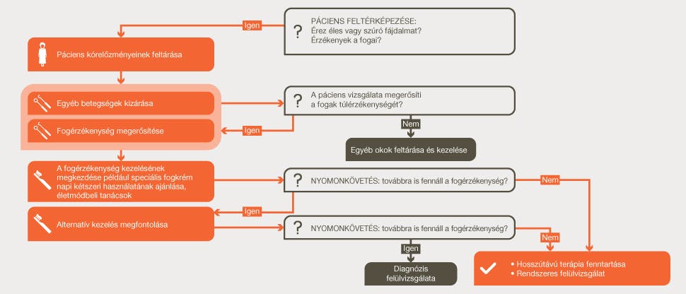 A fogérzékenység kezelésének algoritmusa