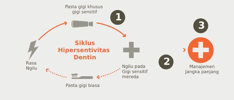Siklus timbulnya hipersensitivitas dentin dan tujuan manajemen