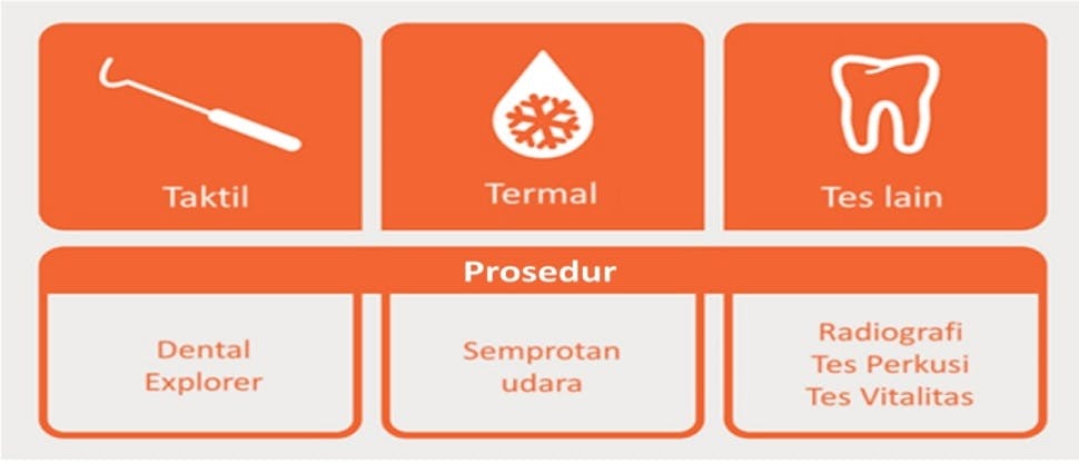 Tes diagnostik: ikon dan deskripsi