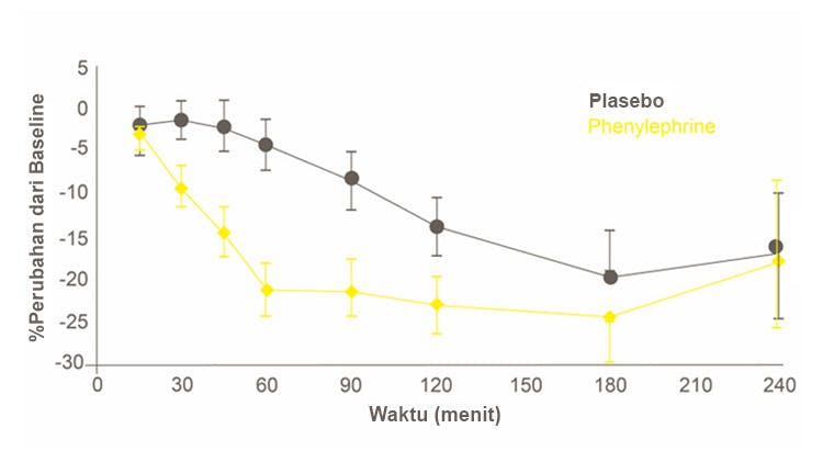 Grafik yang membandingkan phenylephrine vs plasebo dalam membuka jalur napas