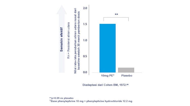 Grafik yang membandingkan peningkatan resistensi aliran udara antara phenylephrine dan plasebo