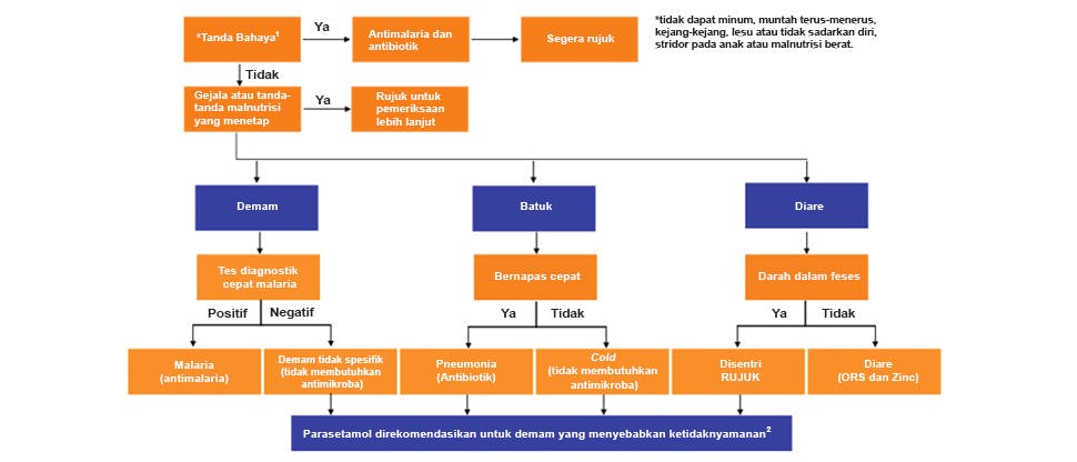Bagan yang diadaptasi dari pedoman Organisasi Kesehatan Dunia tentang manajemen demam pada anak-anak