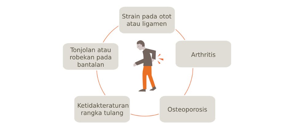 Gambar yang menjelaskan potensi penyebab nyeri punggung