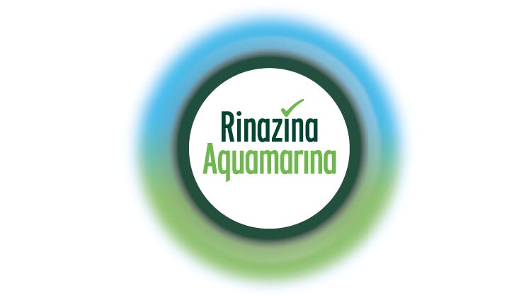 Rina AQM logo