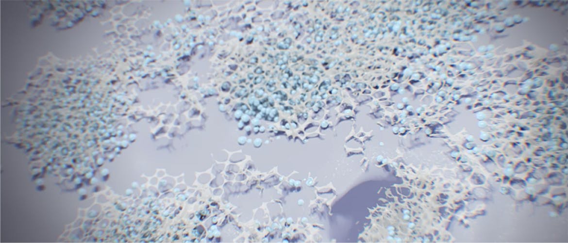 Azione della formulazione al fluoruro stannoso con polimero bio-adesivo