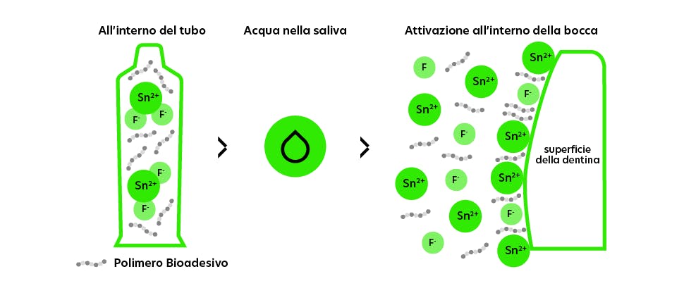Formulazione anidra studiata per reagire all’interno della bocca