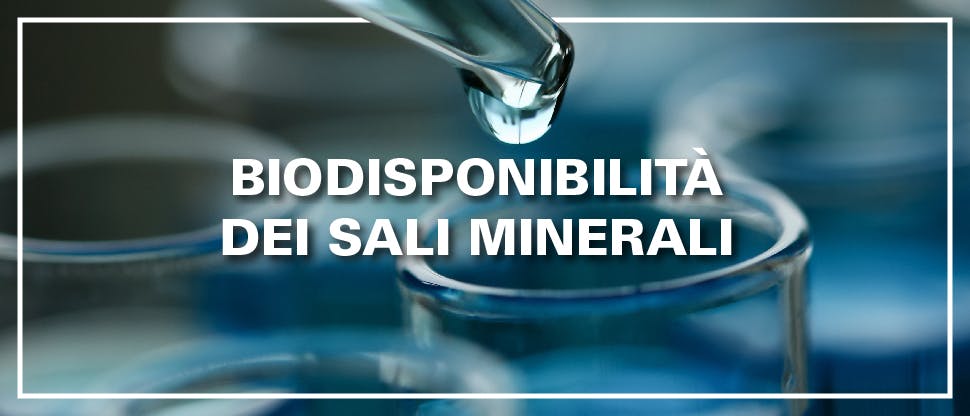 Biodisponibilità dei Sali minerali