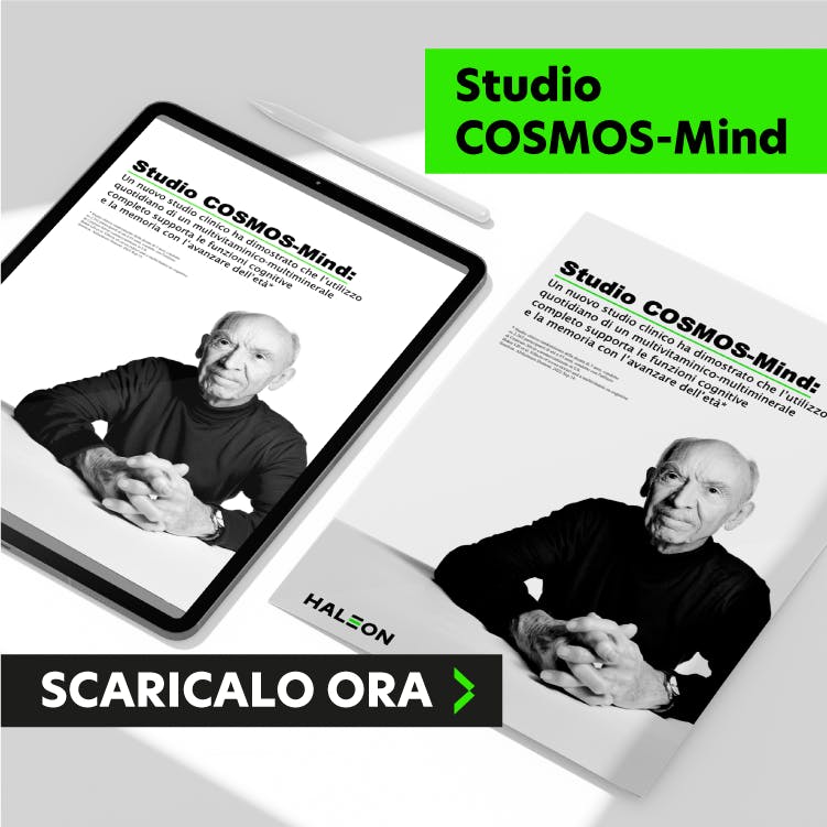 Summary Cosmos Mind
