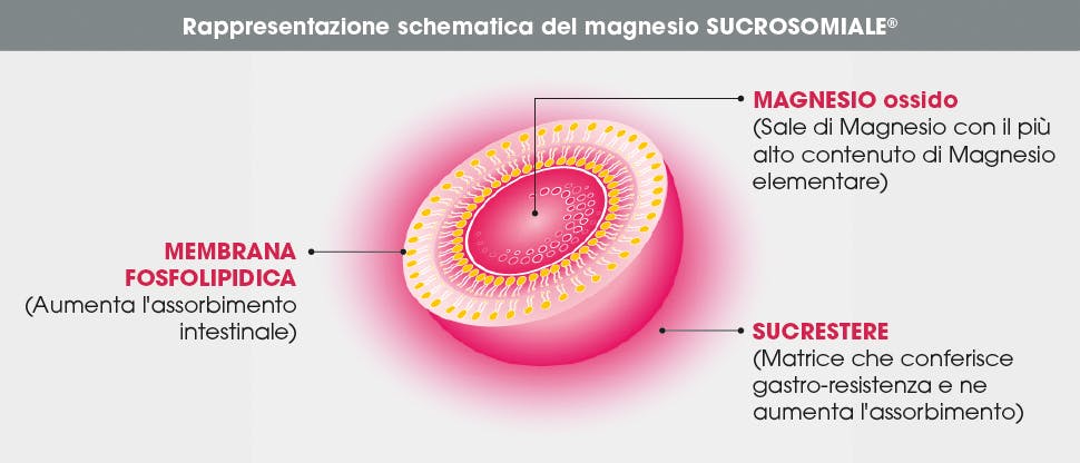 Magnesio sucrosomiale