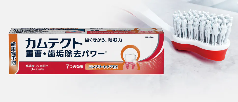 カムテクト概要