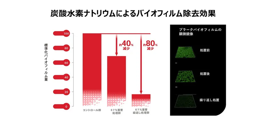 バイオフィルムの除去効果
