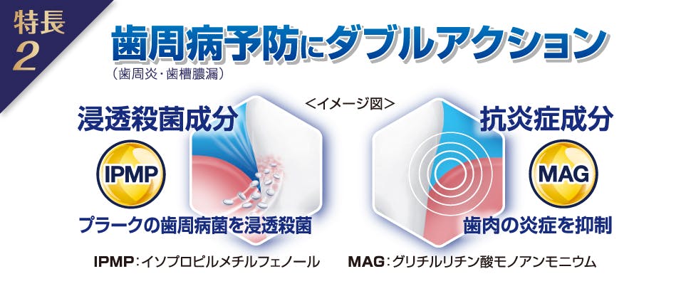 健康な歯肉と強い歯のために７つの効果。